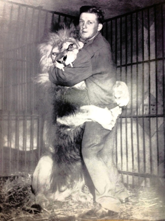 Photo en noir et blanc du jeune Bingo Hauser avec son lion Simba; ils sont tous les deux debout, Simba entoure la taille de Bingo avec ses pattes et le bras de Bingo se trouve dans la gueule grande ouverte de la bête laissant voir deux dents acérées