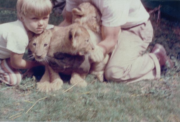 Un enfant et un adulte manipulent trois lionceaux