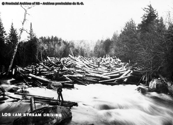 Photo en noir et blanc d’un embâcle datant des années 1890, montrant des grumes qui forment un barrage sur la rivière, ainsi que des hommes debout sur des grumes prêts à démanteler l’embâcle.