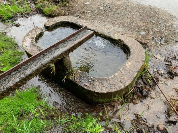 Photo d’une source d’eau naturelle s’écoulant dans un petit bassin en pierre