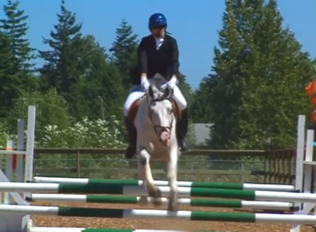  Une pratique équestre dans le ring de saut d'obstacles du Campbell Valley Equestrian Centre à Surrey.