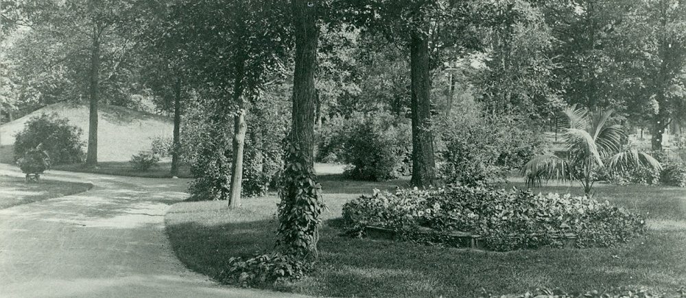 Image noir et blanc d'une route sinueuse entourée d'arbres et de parterres de fleurs luxuriants.