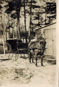 photo en noir et blanc d'un traîneau noir tiré par un poney noir dans la neige.