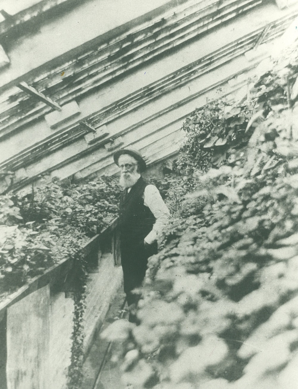 Image noir et blanc d'un homme debout dans une pièce avec beaucoup de plantes différentes. Un plafond fenêtré incliné - l'homme, vêtu de pantalon noir, une veste sombre, chemise blanche avec une longue barbe grise. Il a une longue barbe blanche et porte un chapeau circulaire.