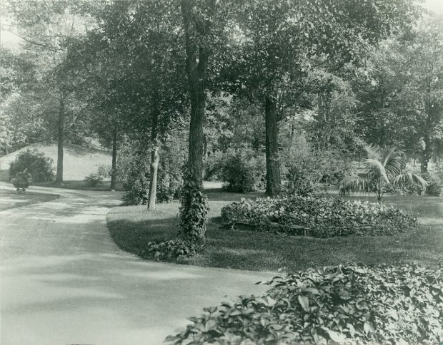 Image noir et blanc d'une route sinueuse entourée d'arbres et de parterres de fleurs luxuriants.