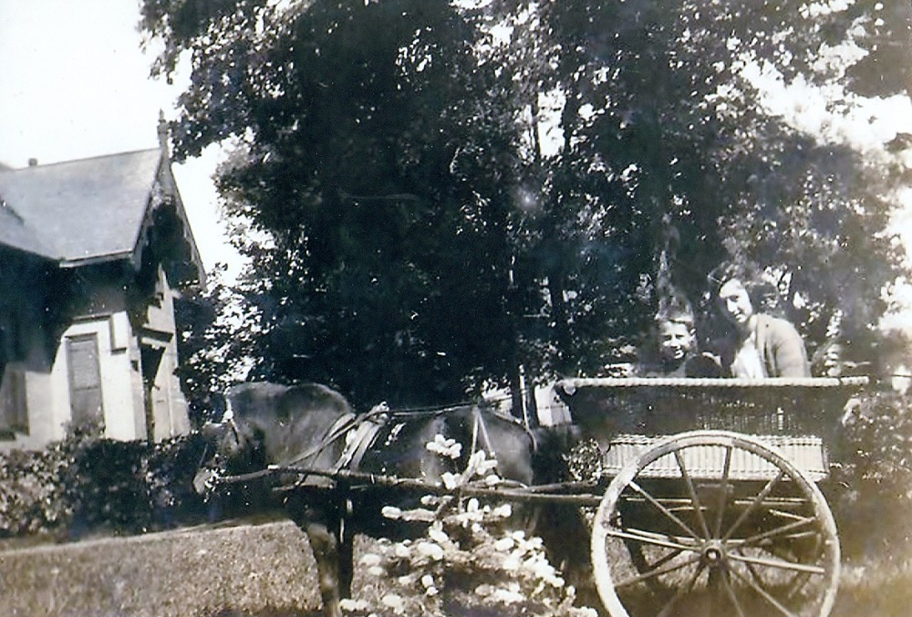 photo en noir et blanc du cheval et buggy. Le buggy est fait de l'osier et il y a un homme et de l'enfant dans le panier.