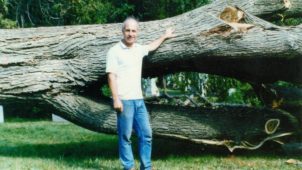 image couleur d'un homme appuyé sur un tronc d'arbre massif qui a été abattu
