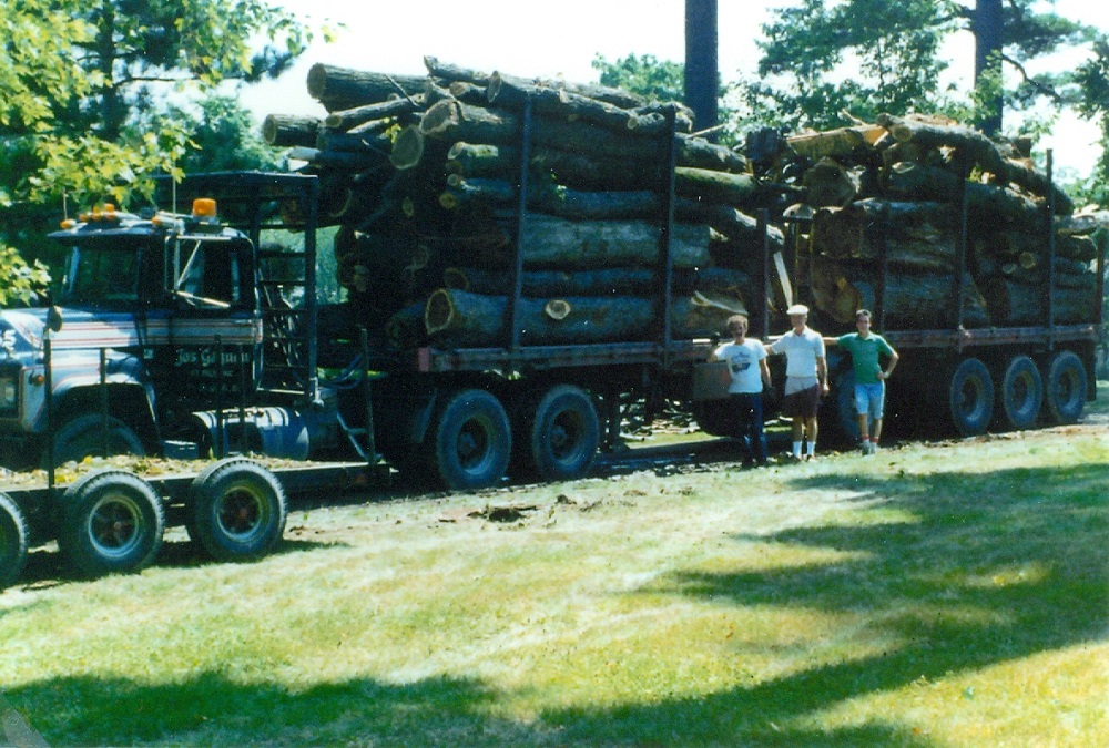 Photo couleur de troncs d'arbres massifs sur une caisse de camion avec trois hommes debout devant le camion