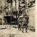 Cheval et buggy