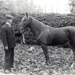 James et son cheval