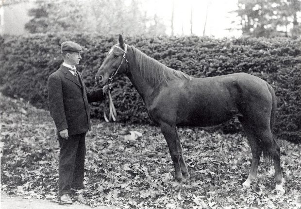 photo en noir et blanc d'un homme vêtu d'un costume tenant les rênes d'un petit cheval. Ils sont debout devant une haie de cèdres sur un chemin de gravier.