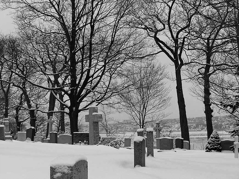 Photo noir et blanc d'un cimetière en hiver avec arbres nus et neige au sol