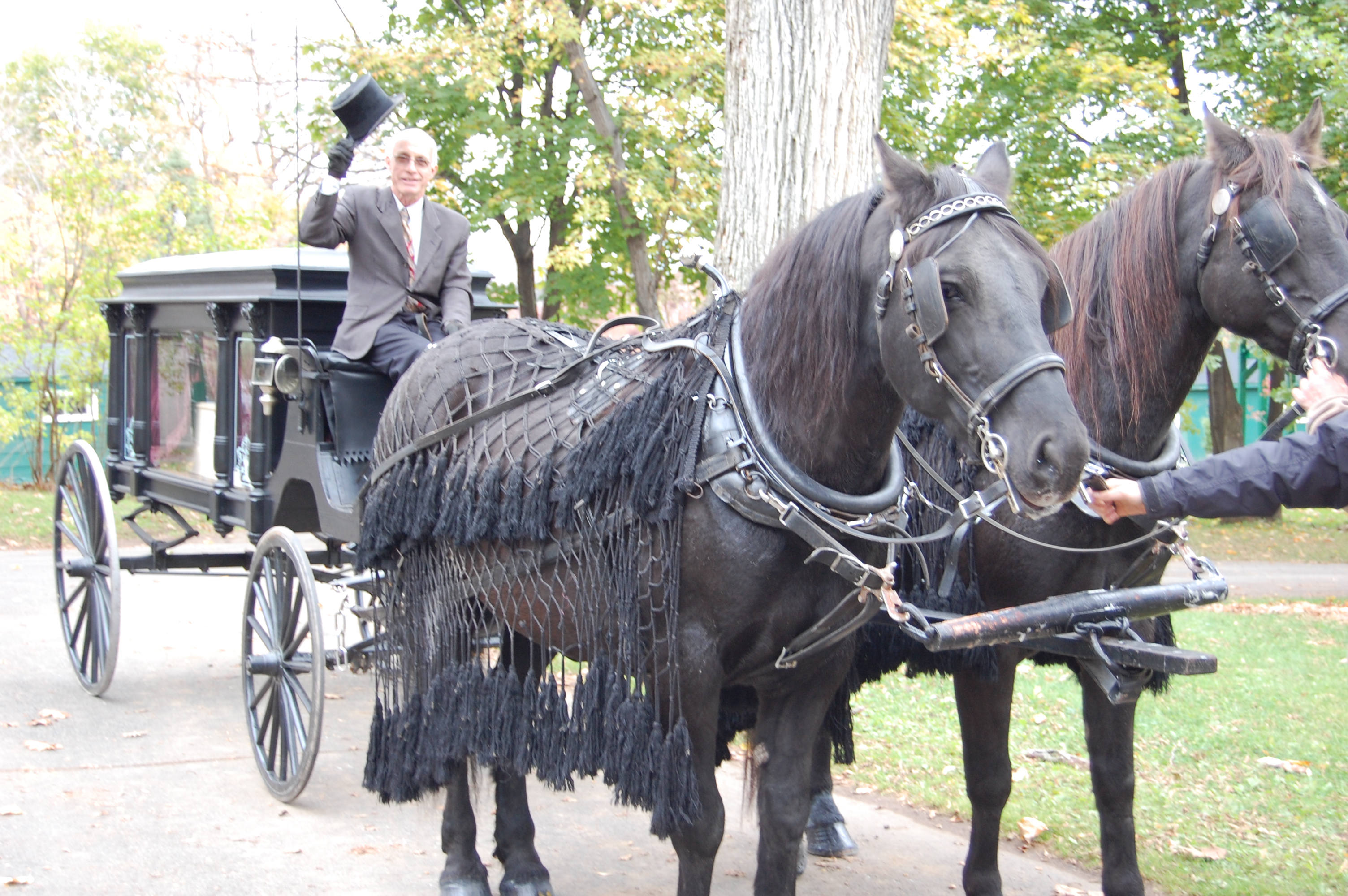 photo couleur d'un homme assis devant un corbillard tiré par des chevaux avec deux grands chevaux.