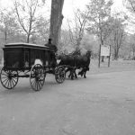 Un corbillard d’autrefois