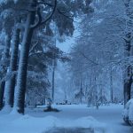 Le cimetière en hiver