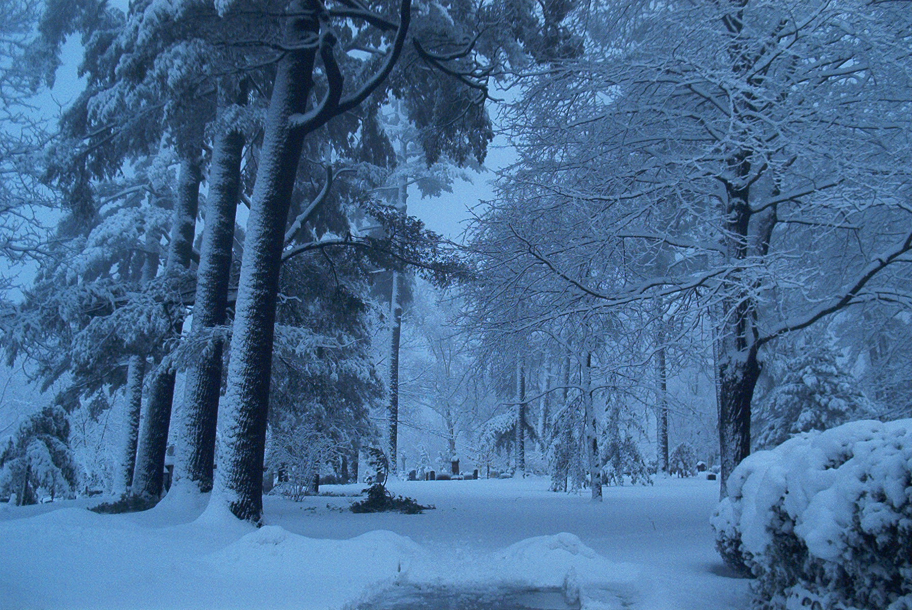 cimetière hiver scène pierre tombale ensevelie sous la neige