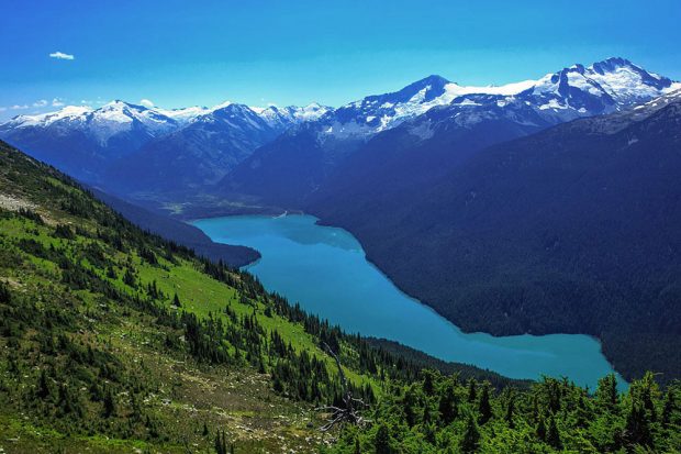 De haut en bas, à partir du sentier de randonnée pédestre de Highnote, en direction d’une pente herbeuse d’un vert éclatant, parsemée de bouquets d’arbres à feuilles persistantes vert foncé menant au lac Cheakamus avec son eau glaciaire bleue.