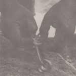 Construction du refuge Batzer 8