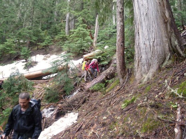 Deux membres féminines du club arpentant une portion escarpée du sentier en essayant de passer au-dessus d’un arbre tombé par terre. Un homme en veste noire est visible au premier plan en aval du sentier et à proximité de plaques de neige au sol.