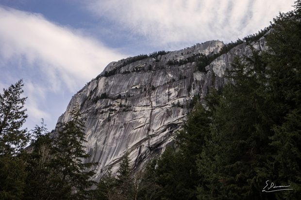 De bas en haut, vue sur une falaise escarpée très impressionnante jonchée de petits arbres à feuilles persistantes à ses extrémités. Dans l’objectif du photographe, des arbres à feuilles persistantes entourant le rocher gris de la falaise et le ciel bleu se parant de nappes de nuages blancs.