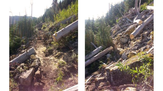 Deux images illustrant la période précédant et suivant l’aménagement du sentier menant au lac Watersprite.