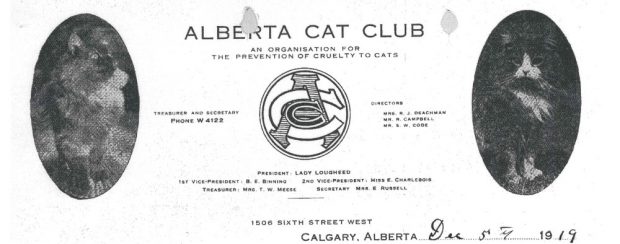 Papier à en-tête du club des chats de l’Alberta avec logo et deux images de chats