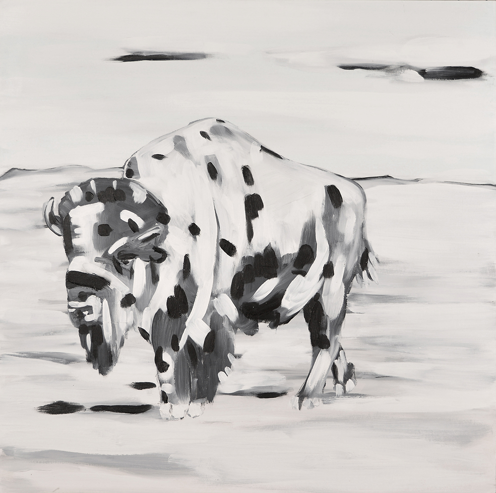 Image contrastée en noir et blanc d’un seul bison dans un champ. Le bison est surtout blanc avec quelques points noirs.