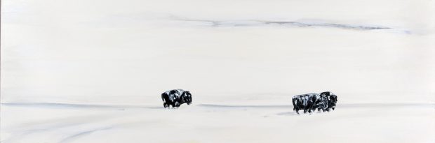 Paysage tout blanc avec trois bisons noirs