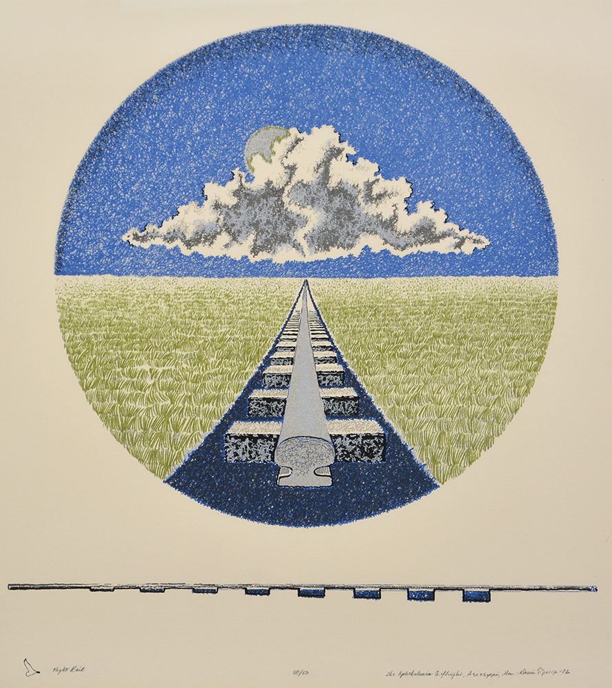 Voie ferroviaire qui passe à travers un champ