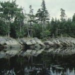 Paroi rocheuse
