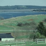 Un drumlin du côté ouest du port