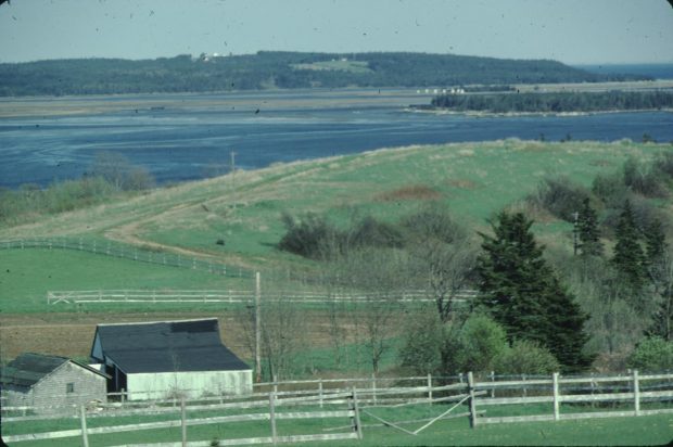 Un drumlin à Cole Harbour