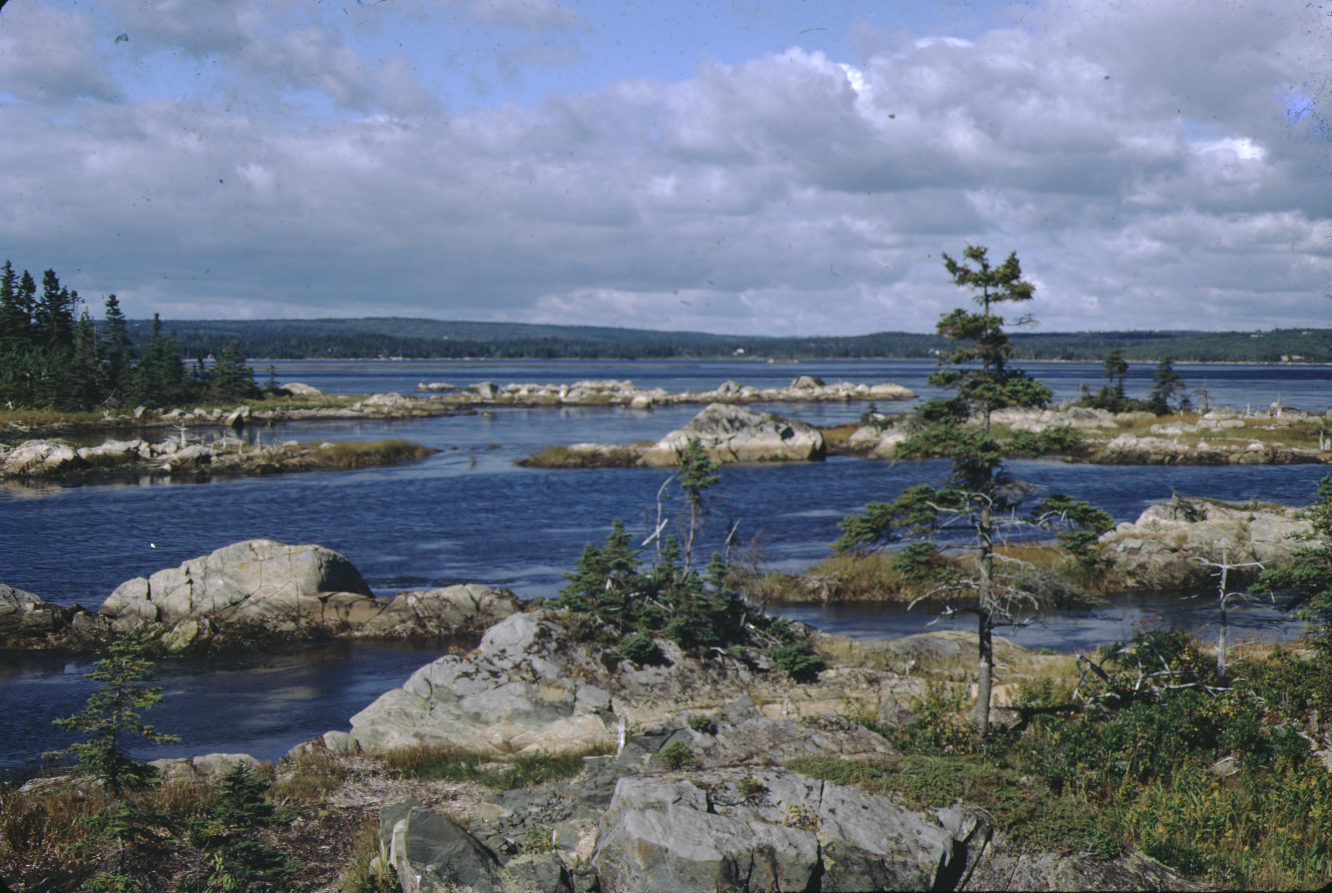 Îles Rocheuses à Cole Harbour