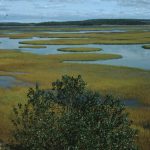 Le marais de Chezzetcook