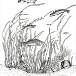 Poisson du marais