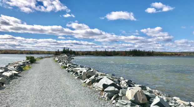 Le sentier du marais salé et le port par une journée ensoleillée