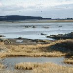 Le marais salé vers Lawrencetown