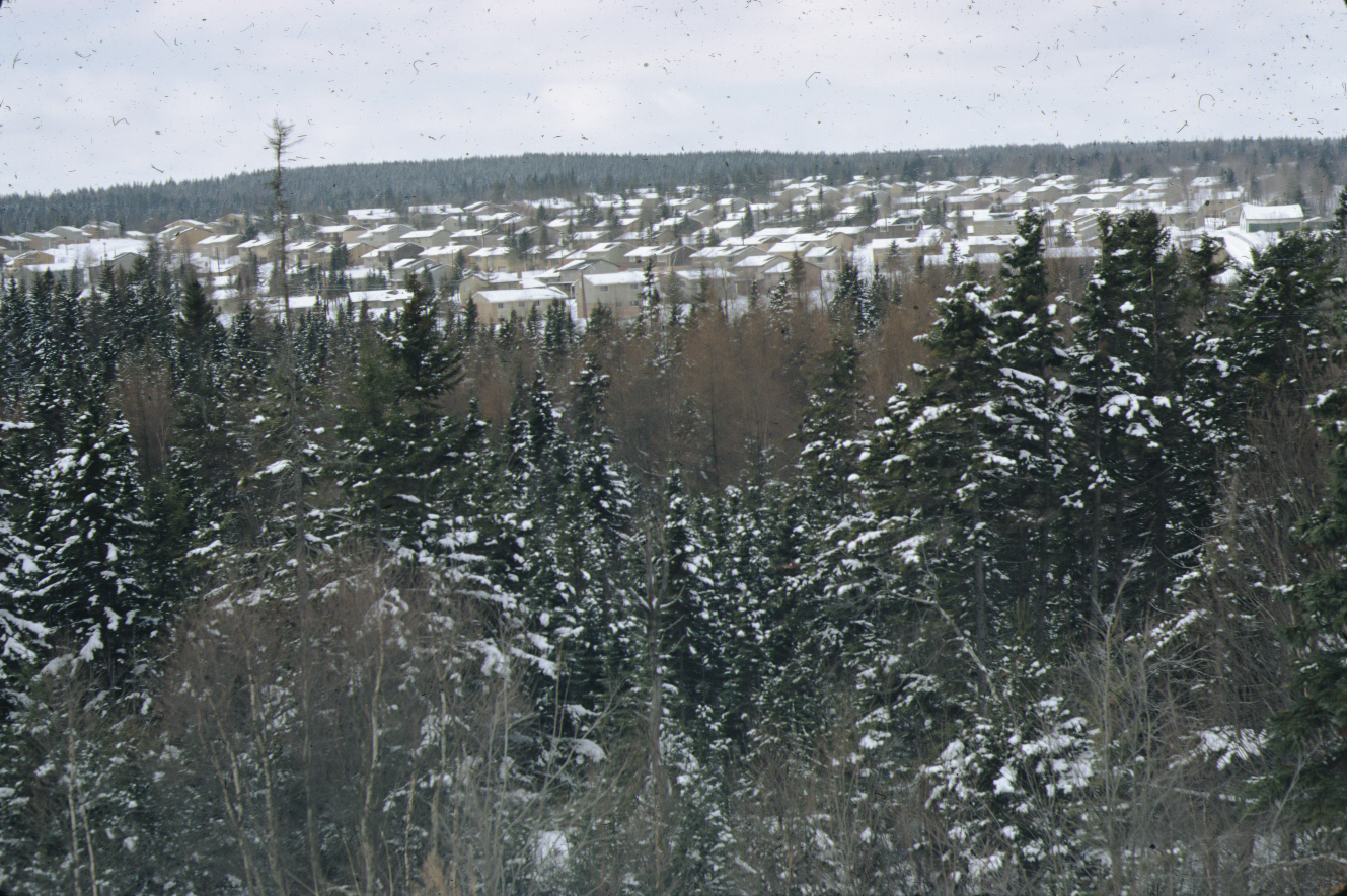 Vue sur des arbres avec des habitations en construction en arrière-plan 