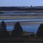 Le marais salé à marée basse