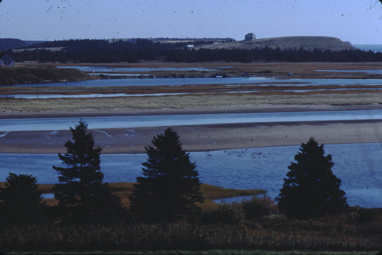 Plage de Lawrencetown à Cole Harbour à marée basse 