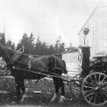 Chariot de marché