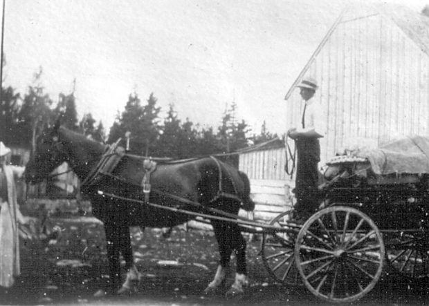 Seymour LaPierre avec son cheval et son chariot
