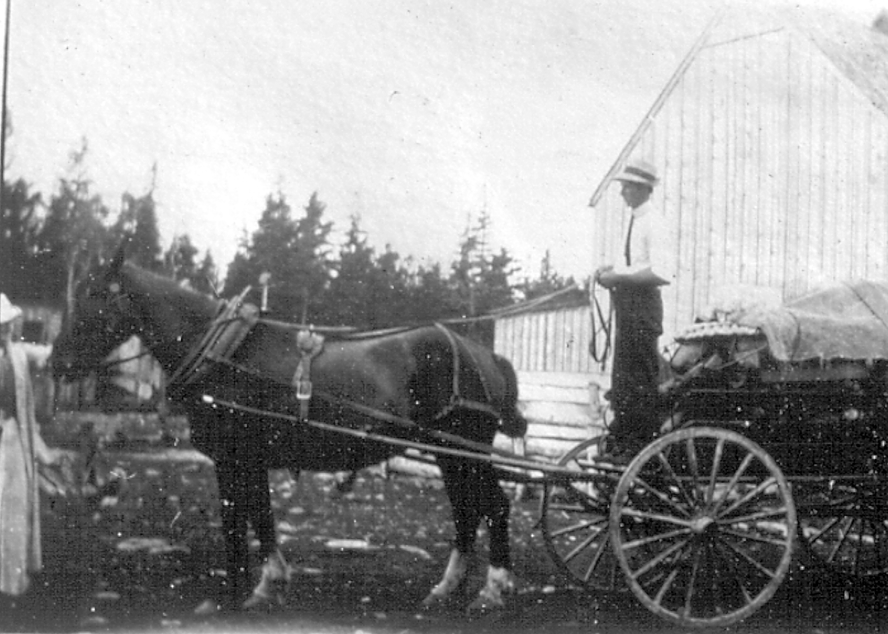 Seymour LaPierre avec son cheval et son chariot