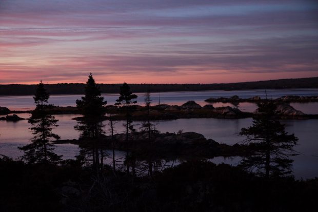 Petites îles et arbres dans le marais salé de Cole Harbour au crépuscule