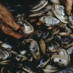 La pêche aux palourdes