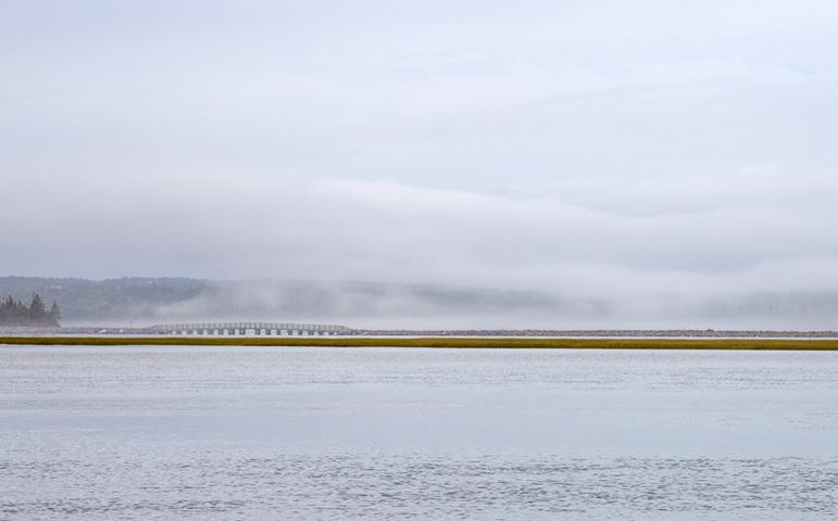 Pont surplombant le marais salé, enveloppé de brouillard