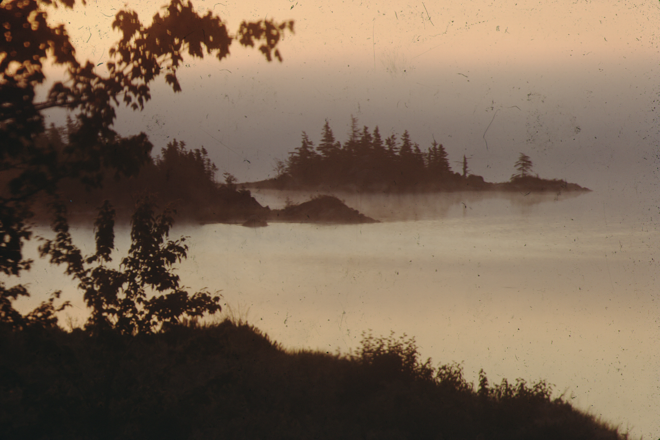 Brume sur le marais salé de Cole Harbour.