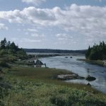 Vue vers le nord de Cole Harbour