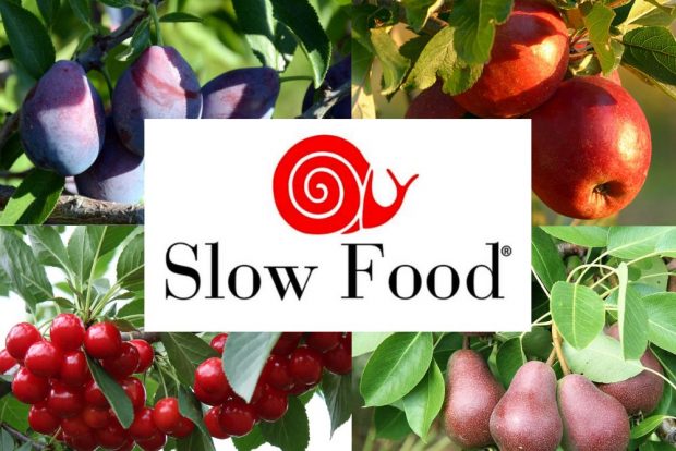 Logo Slow Food