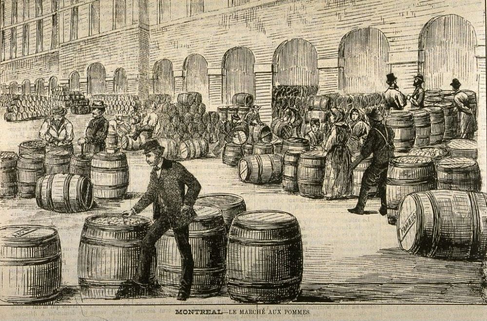 Coupure de presse ancien marché public